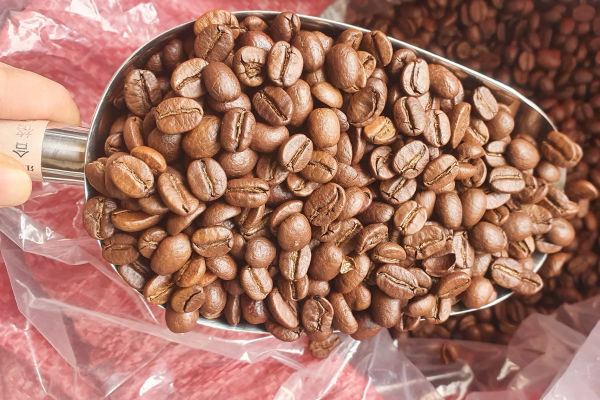 Coffee Tree chuyên cung cấp cà phê rang xay Hồ Chí Minh